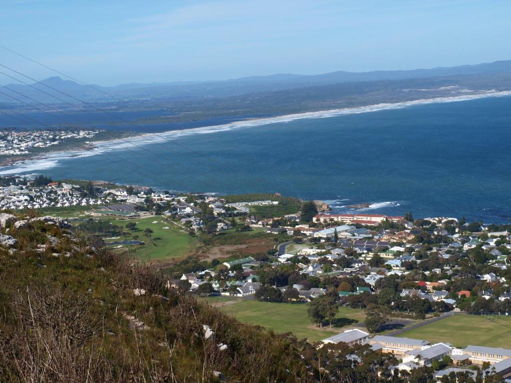 Bamboo Guest House Hermanus Bagian luar foto