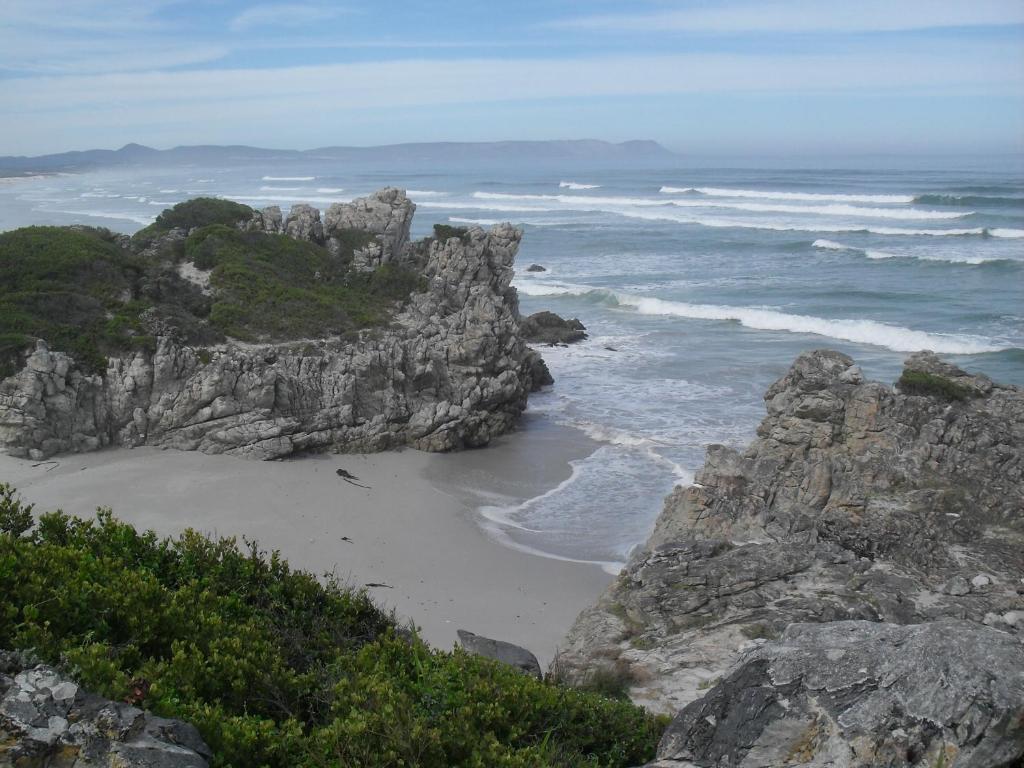 Bamboo Guest House Hermanus Bagian luar foto