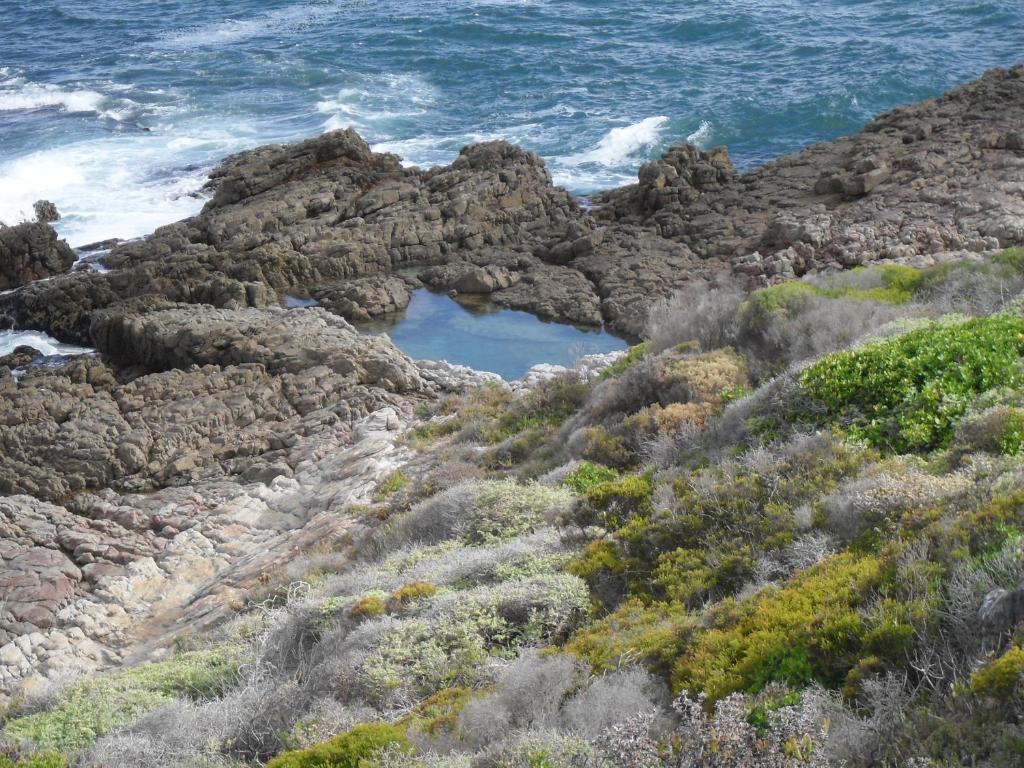Bamboo Guest House Hermanus Bagian luar foto