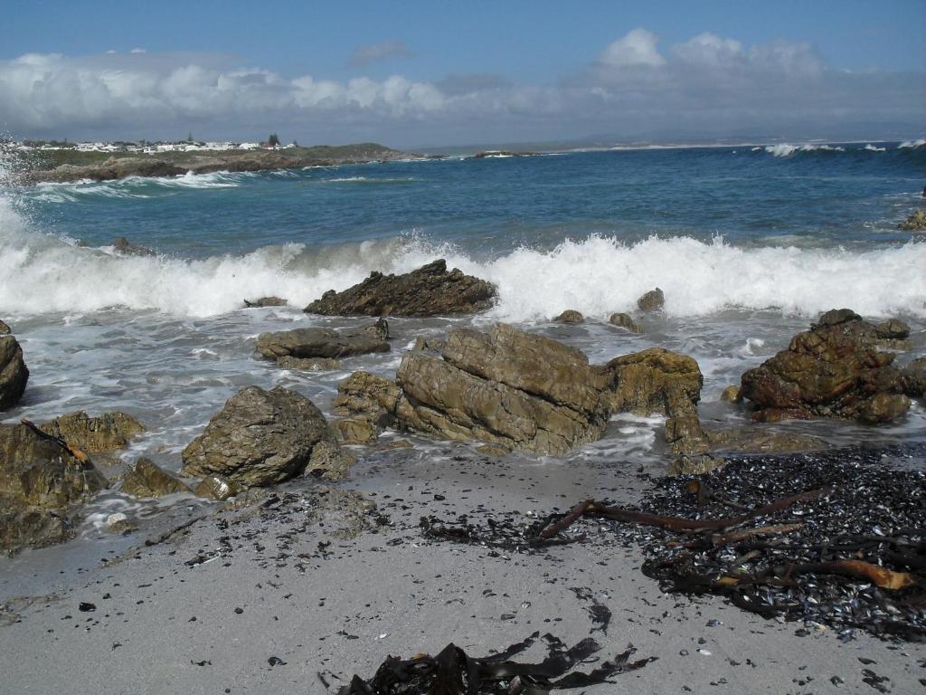Bamboo Guest House Hermanus Bagian luar foto